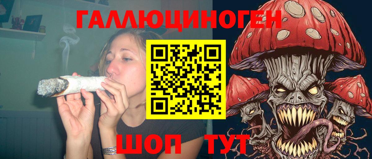 Галлюциногенные грибы GOLDEN TEACHER  магазин    Вход с VPN  Железногорск  Галлюциногенные грибы GOLDEN TEACHER 